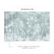 Affreschi & Affreschi | About You | AY 027